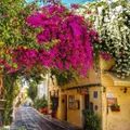 Plaka